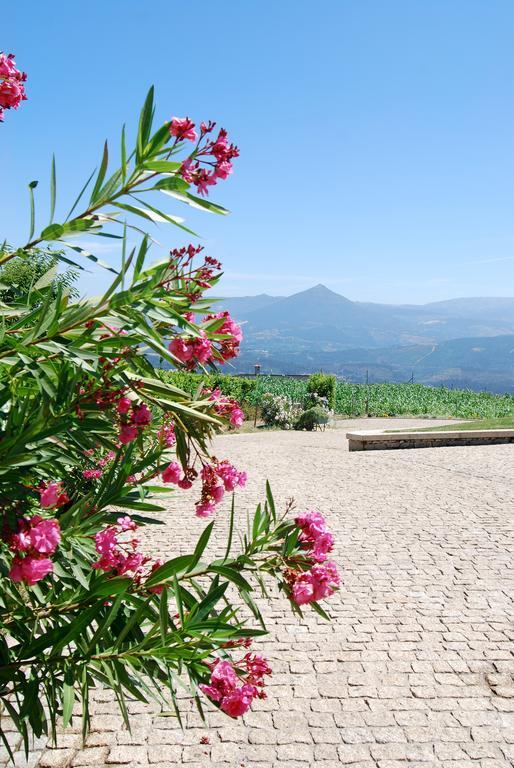 Quinta Do Alto Vila Celorico De Basto Exterior foto