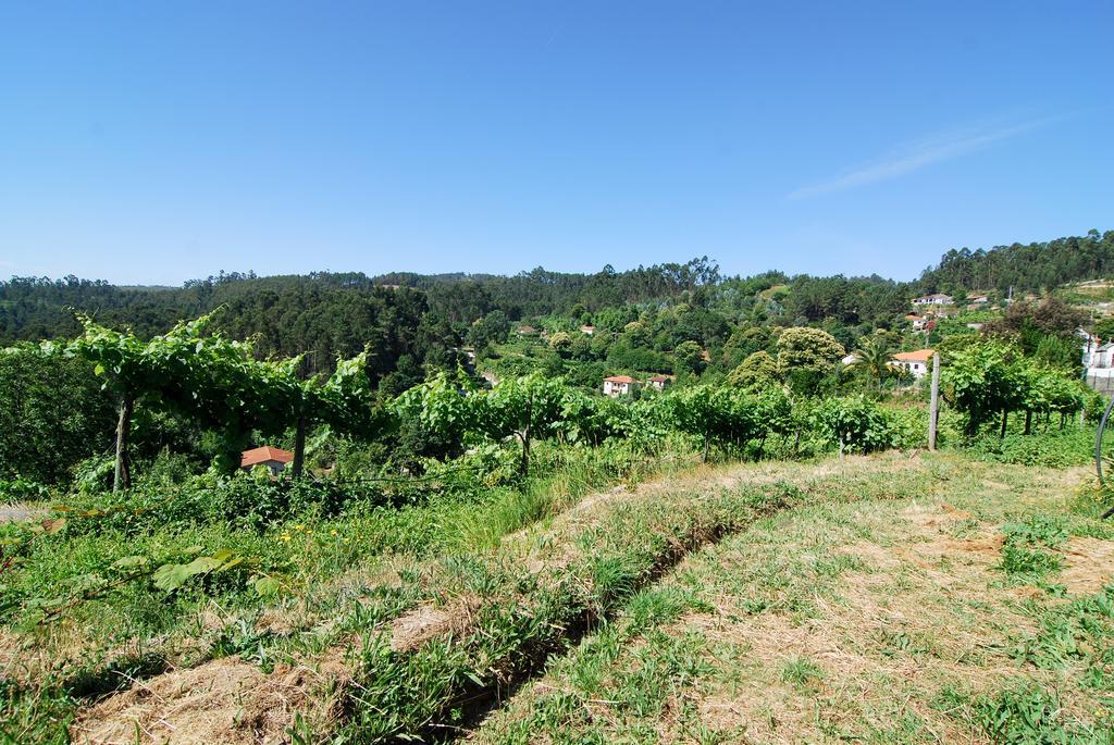 Quinta Do Alto Vila Celorico De Basto Exterior foto
