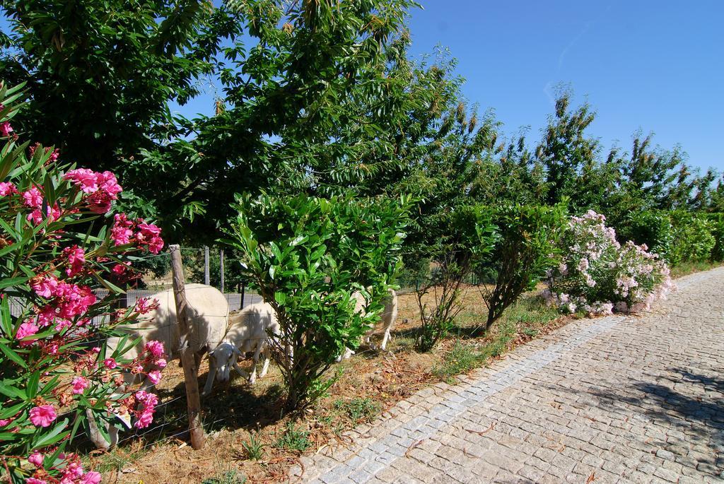 Quinta Do Alto Vila Celorico De Basto Exterior foto